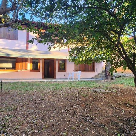 Studio Jardim بينداموهانغابا المظهر الخارجي الصورة